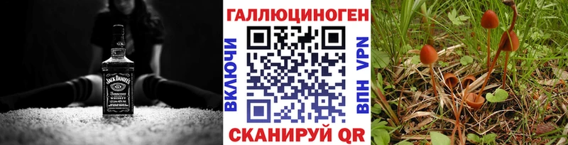 KRAKEN ссылки  Ахтырский  Галлюциногенные грибы Psilocybine cubensis 